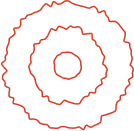 Gülle Tekstil | About Us